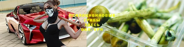 ГАЛЛЮЦИНОГЕННЫЕ ГРИБЫ Абаза