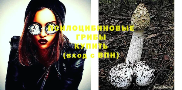 шишки Сатка