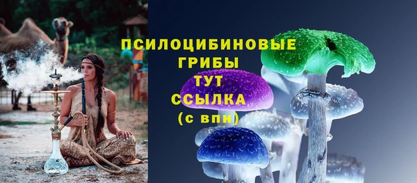 ГАЛЛЮЦИНОГЕННЫЕ ГРИБЫ Абаза