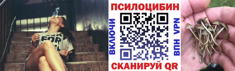 Псилоцибиновые грибы Psilocybine cubensis  дарнет шоп  Инта 